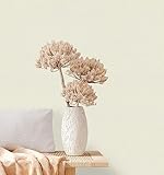 A.S. Creation | Natural Living | 376037 | Vliestapete | Einfarbig | 10.05 x 0.53 m | Weiß | Wohnzimmer | Schlafzimmer | Flur | Küche | Esszimmer | Badezimmer | Bad | Arbeitszimmer | Büro | Diele