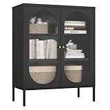ASTUIAT Doppeltüriger Metall-Aufbewahrungsschrank Glas-Aufbewahrungsschrank mit Verstellbarer Trennwand Wohnzimmer-Aufbewahrungsschrank großer Raum-Vitrine Schwarz 90 x 80 x 35cm
