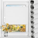 Wabenplissee Plissee ohne Bohren Verdunklung Thermo Doppelplissee Zweifarbigz Weiß-Weiß B50 x H130 cm, Verdunklungsplissee Klemmfix Sonnenschutz & Schallschut für Fenster & Tür