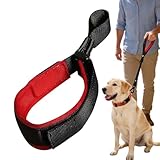 Sicherheitsgurt für Hundeseil – einziehbares ergonomisches Welpen-Trainingszubehör, Hunde-Zerrseil – für kleine, mittelgroße und große Welpen, Kinderwagen, Einkaufspark, Outdoor, Garten, Hof