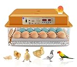 Hethya Inkubator Ei Vollautomatischer Inkubatoren Brutmaschine Hühnereier Automatischer Hühnerbrutkasten Heimbrutkasten Huhn 36 Eier Inkubatoren