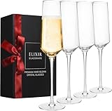 Elixir Glassware Kristall Champagnergläser 236 ml I Champagnerkelche 4 Set | Prosecco-Gläser I Schaumweingläser 4 Stück spülmaschinenfest I Edle Kristallgläser wie mundgeblasen