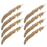 ifundom Hirse Leckerlis für Vögel und Papageien Getrocknete Wellensittichhirse 500g – Natürlicher Snack für Nymphensittiche Unzertrennliche Finken Vitaminreiches Vogelfutter zum Training