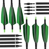 Poearcus Bogens chießen Carbon Pfeil 500 Spine Jagd Pfeil mit Spiral/gerade Truthahn Federn 30 Zoll Ziel Praxis Pfeil für Compound Bow Recurve Bow 12pcs (Spiral Feder)