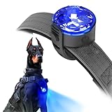 UMIONE PET LIGHT: Wasserdichtes Hundelicht, langlebig und ideal für Nachtspaziergänge (Blau, 1 Stück)