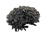 Sonnenblumenkerne schwarz 25kg, aus aktueller regionaler Deutscher Ernte