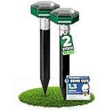 GRUNDIG Maulwurf Vertreiber Wühlmausschreck 2erPack - SCHNELLE Ergebnisse mit extremen Wirkradius I Wühlmaus, Maulwurf vertreiben - Solar Maulwurfschreck Maulwurfvertreiber (dunkelgrün)