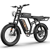 URLIFE 20 * 4' Fat-Tire Elektrofahrräder für Erwachsene, E Bike mit 48V 15.6Ah Batterie, 120 KM Reichweite, Farbenfroh LCD Display, All Terrain Eigenschaft Elektro Mountain (Rear Rack, Schwarz)