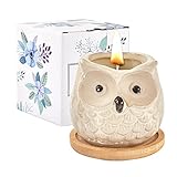 Kinforse Duftkerzen Geschenke für Frauen, Geburtstagsgeschenke, Eulen, süße orangefarbene Kerze…