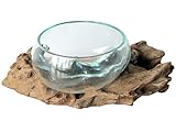 Geschenk Deko Gamal Wurzelholz Ø 12-13 cm Wurzel Holz Teakholz Vase Schale S