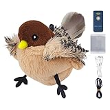 Flying Flapping Bird, Interactive Cat Feather Toys, Catnip Toys for Cats, Realistic Cat Bird Toy, Soft and Cozy Flying Flapping Bird Interactive Toy with Catnip for All Cat Breeds