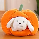 Kürbiskissen, Plüsch-gefüllte Halloween-Dekorationen, Herbst, Erntedankfest, Halloween, Überwurfkissen, Kürbis, Sofakissen