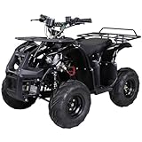 Actionbikes Motors Kinder Quad Elektro ATV S-8 Farmer | 𝟒𝟖 Volt 𝟭𝟬𝟬𝟬 Watt Motor bis 𝟐𝟬 km/h - Kinderquad - Pocket Quad - Scheibenbremsen - Miniquad - Für Kinder ab 8 Jahren (Schwarz)
