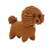 RALIYATX Häkelsets für Anfänger, Häkeltier-Kits für Tier-Anfänger, Häkelsets für Erwachsene und Kinder, Stricksets