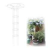 Rankgitter für Kletterpflanzen, vertikal, Glyzinie und Blumenstütze, Käfig, für Ranken, Rosen und Gartendekoration, 180 cm, Weiß