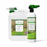 BodenLiebe Rasenblitz 5 l flüssiger Rasendünger inkl. Sprühflasche - Für 250 m² Garten - Schnelles Grün statt Gelb - Sichere Anwendung - Familienfreundlich & tierverträglich - Made in Germany