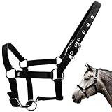 BINYI Hobby Horse Halfter für Pferde Pferdehalfter Kappzaum Pferd mit Karabinerhaken und Zügel Verstellbar Fohlenhalfter Hobby Horse Trense Shetty Zaumzeug für Holzpferd Pony Zubehör (Schwarz)