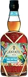 Plantation Isle of Fiji Rum (1 x 700 ml)
