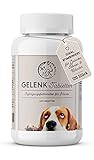 Annimally Gelenktabletten für Hunde mit Grünlippmuschel, MSM, Teufelskralle, Glucosamin & Hyaluron - 120 Gelenke Tabletten für Hunde - Hohe Akzeptanz beim Hund durch kleine Tabletten