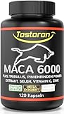 Tostoron MACA 6000 dein Antrieb! Extra stark + HOCHDOSIERT 120 Kapseln + TRIBULUS, Pinienrinden Extrakt 100:1, Vitamin C, Selen, Zink, 1 Dose (1x100g)