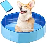 LUFEIS Hundepool, 60x20 cm Hundepool Schwimmbad, Hundebecken Faltbar mit Ablassventil, Planschbecken rutschfest, Swimmingpool für Hunde, Faltbarer Pool Schwimmbecken für Kleine Hunde, Katze (Blau)