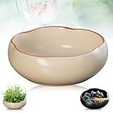 Retro-Keramikschale für Hydrokulturen, runder Blumentopf für den Innenbereich, Sukkulenten, Wasserpflanzung, stilvolles beigefarbenes Dekor für Haus und Garten