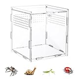 IKOPFLN Reptilien Futterbox Acryl Terrarium, 360° Transparent Mini Zuchtbox für Eidechsen, Spinnen, Geckos, Insekten 10 x 10 cm, Gute Belüftung und Vielseitige Nutzung