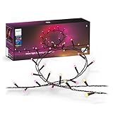 Philips Hue Festavia Lichterkette, White & Color Ambiance, dimmbar, 500 Mini LEDs, 40 m Länge, wasserdicht, kompatibel mit Amazon Alexa (Echo & Echo Dot)