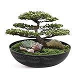 matches21 Pflanzschale für draußen - große Vintage Dekoschale schwarz marmoriert als Blumentopf Pflanztopf - Schale in 30 x 9 cm als Garten Vogeltränke Balkon-Deko oder Friedhof Grabschale