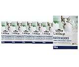 Dehner Saatgut Katzengras, 6 Stück (600 g)