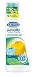 Dr. Beckmann Gallseife Flecken-Bürste | mit echter, natürlicher Gallseife und weicher Spezial-Bürste | 250 ml (1er Pack)
