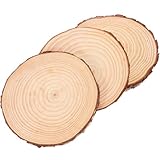 jojofuny 3 Stück Gartentrittsteine Holzscheiben Ø18 20Cm 2cm Natürliche Gartendeko für Außenbereich Gartenweg und Rasen