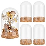 PH PandaHall 4 Stück Glasglocke Mit Kuppel Glockenglas Mit Korken Kleine Glasflaschen Kuppel Dekorative Gläser Vitrine Für Blumenaufbewahrung Zuhause Weihnachten Party Gastgeschenk 6x9.9cm