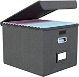 FINEW Stoff Faltbare Aufbewahrungsbox mit Deckel, Hängemappenbox für DIN A4 Hängeregister, Aufbewahrungsboxen für Büro, Faltbox für Familien (Dunkelgrau)