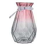 ERINGOGO Glasvase mit Farbverlauf Dickes Glas Stabile Hydroponik Vase für Blumenarrangements Vielseitige Dekoration für Zuhause Büro Hochzeit und Fensterbrett