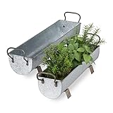 Relaxdays Blumenkasten Dachrinne, 2er Set, Garten & innen, Vintage Design, Eisen, Metallwannen zum Bepflanzen, Silber