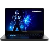 ERAZER Defender 17 P1 43,9 cm (17,3 Zoll 144Hz) Full HD Gaming Laptop (Core i7 13620H, GeForce RTX 5060 8GB GDDR7 VRAM, 16GB DDR5 RAM, 1TB PCIe SSD, ohne OS)
