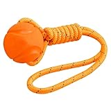 Hundespielzeug, Welpenspielzubehör, interaktives Hunde-Puzzle-Spielzeug, für Haustiereltern, Trainer, Tierliebhaber, Innen- und Außenbereich, Wohnung, Schlafzimmer, Wohnzimmer, Arbeitszimmer, Park