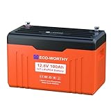 ECO-WORTHY 12V 100Ah LiFePO4 Bluetooth mit Display V2.0,1280Wh Lithium batterie 12V mit 100A BMS Low Temperature Schutz für Boot,Wohnwagen,Wohnmobil