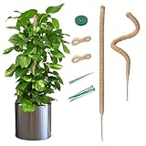 Mcbazel 2x70CM Monstera Rankhilfe Kokosfaser Rankhilfe mit Zubehör, Rankhilfe Monstera, Pflanzenstütze für Monstera Stab Kletterpflanzen im Innenbereich,Pothos und Zimmerpflanzen im Topf