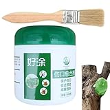 Scellant D'élagage De Blessure D'arbre - Heilsiegel Für Baumpflanzen, 500 G Pflanzenveredelung, Schnittsiegel | Bonsai-Schnittwunde, Paste, Schmiermittel, Baumreparatursalbe, Mittel, Reparaturwerkzeug