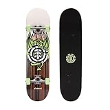 Element Drachen-Skateboard, 78,7 x 19,7 cm, komplettes Eis am Stiel, für Kinder, Teenager, Jungen, Mädchen, Erwachsene, Gewichtslimit 100 kg.
