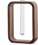 QONDA Reagenzglasvasen aus Glas, Holzrahmen Desktop-Dekoration Ornament getrocknete Blumenvasen Pflanzen Retro-Stil Blumenvase (Größe: 12 x 4,5 x 24 cm) (Größe: 12 x 4,5 x 18 cm)