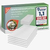 Exeta 5x Gewächshausplatten 6mm I Polycarbonat Hohlkammerplatten für Gewächshäuser I PC Doppelstegplatten UV-beständig & bruchsicher I für Garten, Frühbeet uvm I 60,5cm x 150cm I Transparent