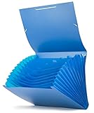 Pryse 4152001 Ordnungsmappe Fächermappe, hellblau