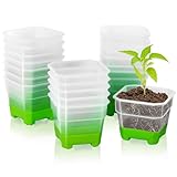 Yokuni 20 Stück Anzuchttöpfe, Blumentopf Transparent, pflanztöpfe Kein Geruch, Verschleißfeste und Langlebige Blumentöpfe Plastik, Wiederverwendbare Pflanzenbehälter, Cultivation Pots