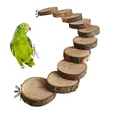 Leiter für Sittiche | Bewegungs- und Kletterspielzeug | Vogel Leiter Brücke | Für Die Vorbeugung Von Langeweile Und Mentale Stimulation Als Spielbereich Für Die Zeit des Alleinseins Zu Hause