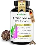 180 Artischocken Kapseln hochdosiert mit 25% Cynarin - WICHTIG: 113mg Cynarin pro Kapsel - 1 Kapsel pro Tag - Artischocken-Extrakt hochdosiert