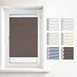 Estika Wabenplissee ohne Bohren 50x100 cm Farbe: Braun Verdunkelung und Thermo Plissee für Fenster in verschiedenen Waben erhältlich mit Montagezubehör