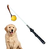 Rrlihjgu Angelrute für Hunde | Spielerisches Zubehör für Hunde | interaktives Erziehungsstab Spielzeug zum Ziehen für Haustiere und Garten